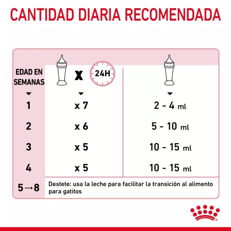 Leche para Gatitos Royal Canin 300g | Sustituto Lácteo | Patmo Pet