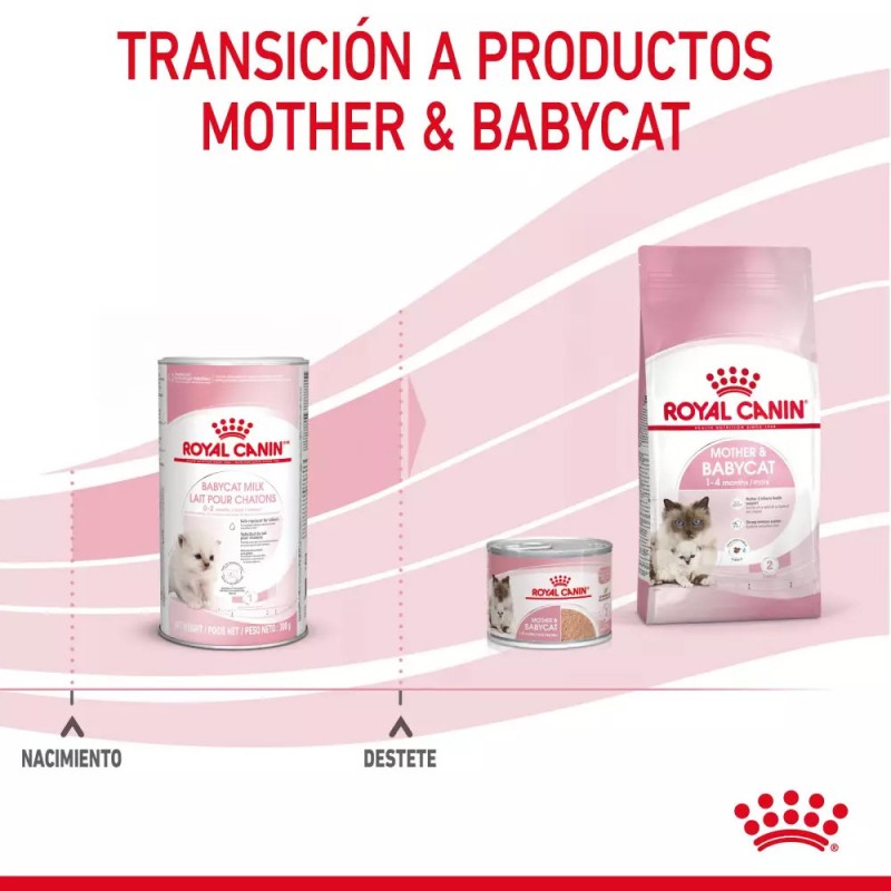 Leche para Gatitos Royal Canin 300g | Sustituto Lácteo | Patmo Pet