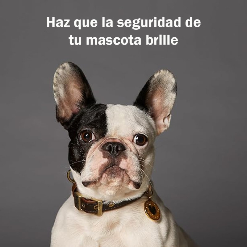 Placa Identificadora My Family Pink Big Glitter Circle White Bone