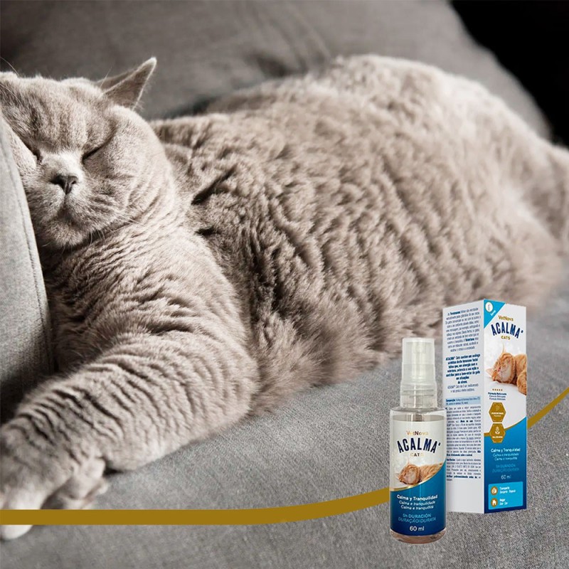 Acalma Spray Antiestrés con Feromonas para Gatos 60 ml