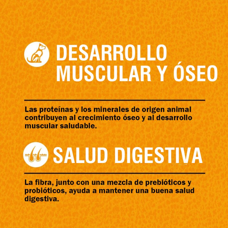 Alimento para Cachorros Orijen Puppy Aves y Pescado 10.6kg
