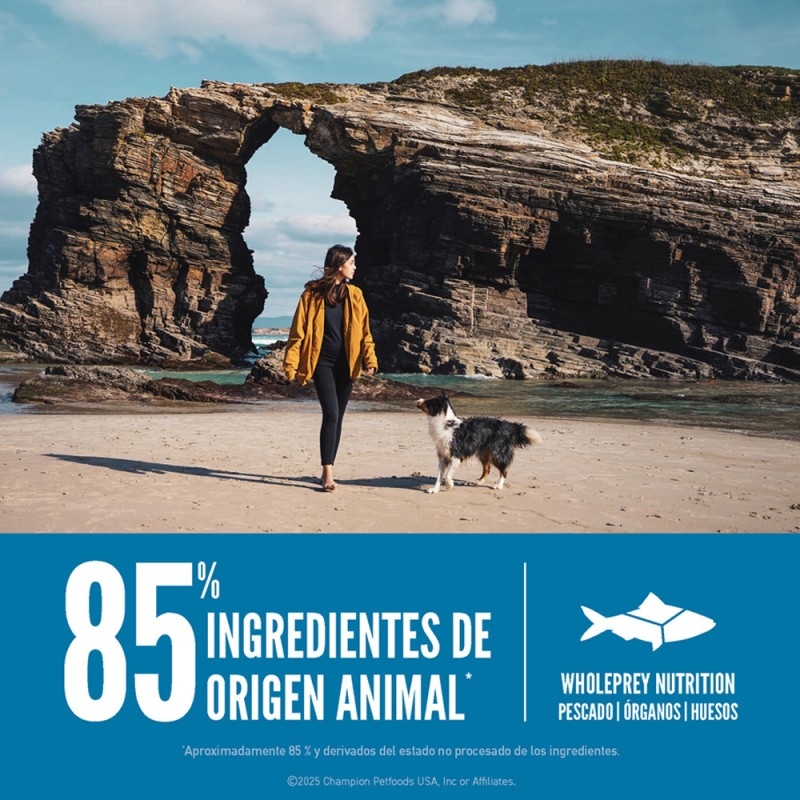 Alimento para Perros Orijen Six Fish 2kg Sin Cereales
