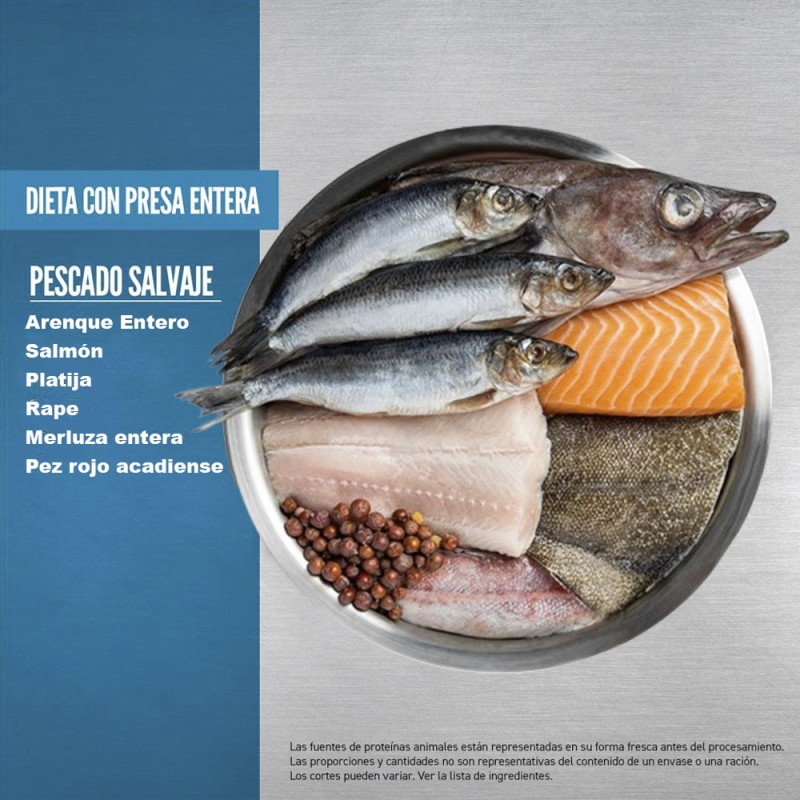 Alimento para Perros Orijen Six Fish 2kg Sin Cereales