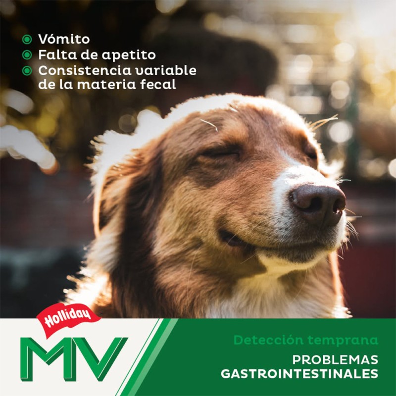 Holliday C MV GASTROINTESTINAL 2 KG