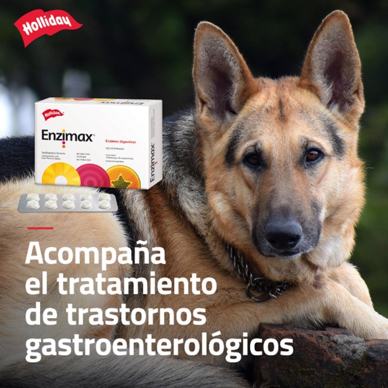 Holliday Enzimas Digestivas Enzimax Para Perros y Gatos 20 comprimidos