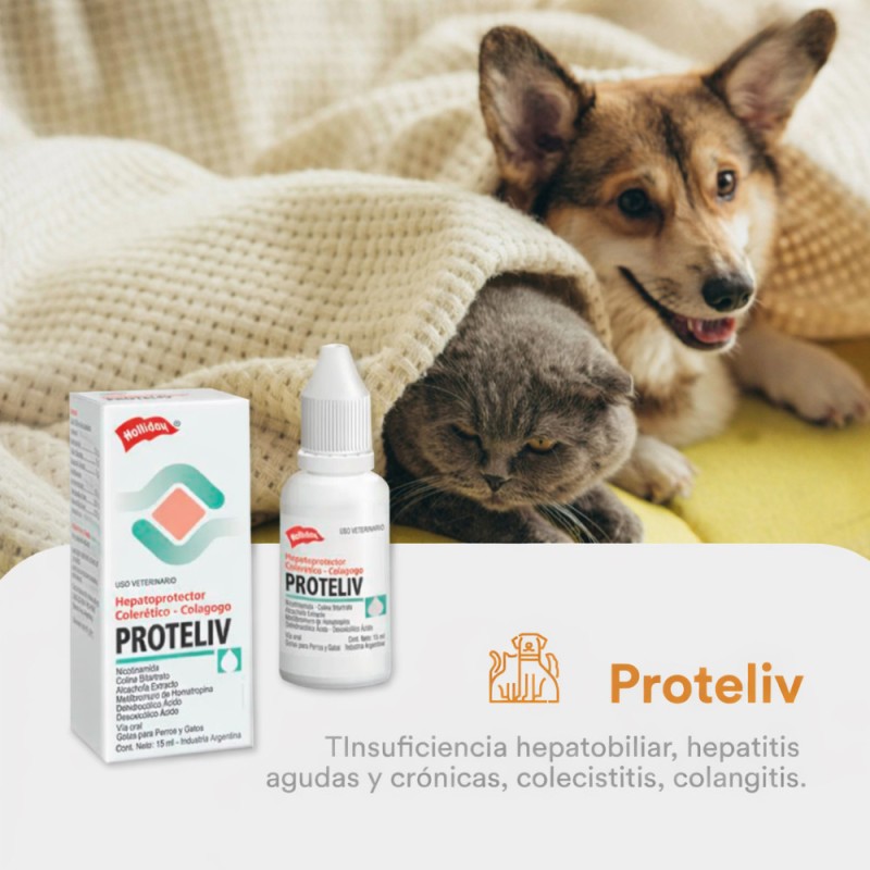 Protector Hepático para Perros y Gatos Proteliv Gotas 15ml
