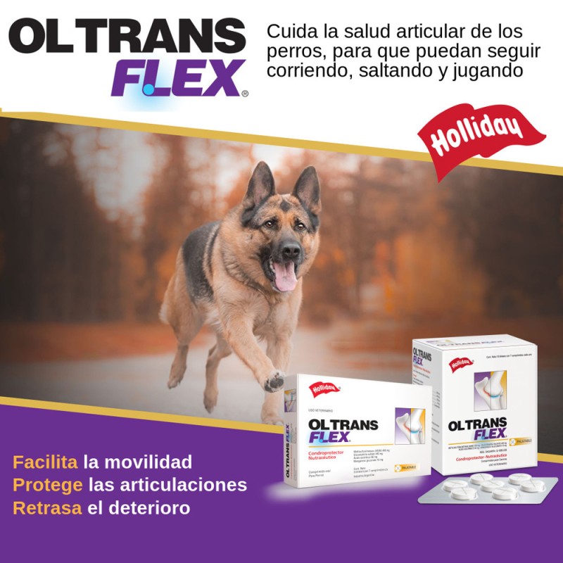 OL Trans Flex Suplemento Articular Para Perros 21 comp