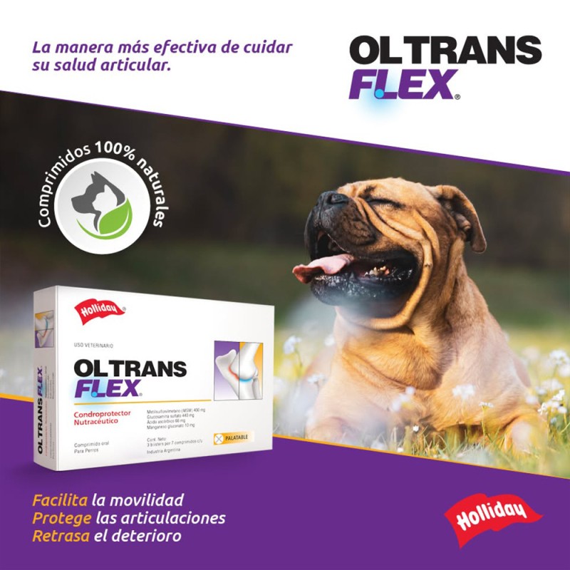 OL Trans Flex Suplemento Articular Para Perros 21 comp