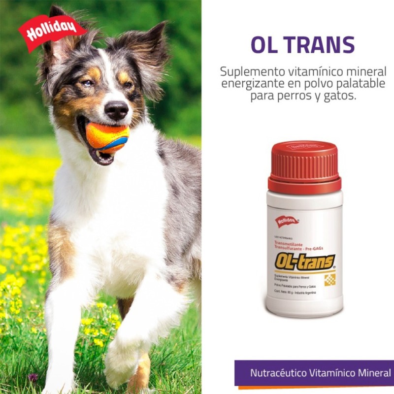 OL-Trans Suplemento Vitaminico Para Perros y Gatos 80 gr
