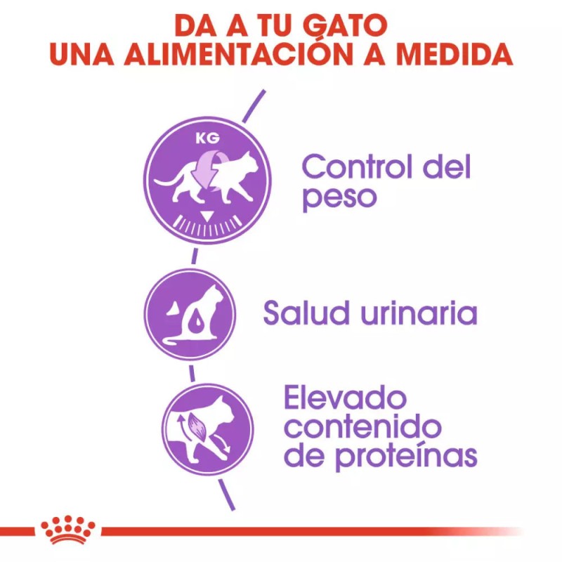 Alimento Royal Canin FHN para Gatos Esterilizados 37 2kg