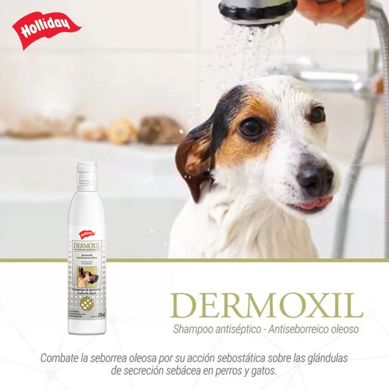 Holliday Shampoo Antiséptico Dermoxil Para Perros y Gatos 250 ml
