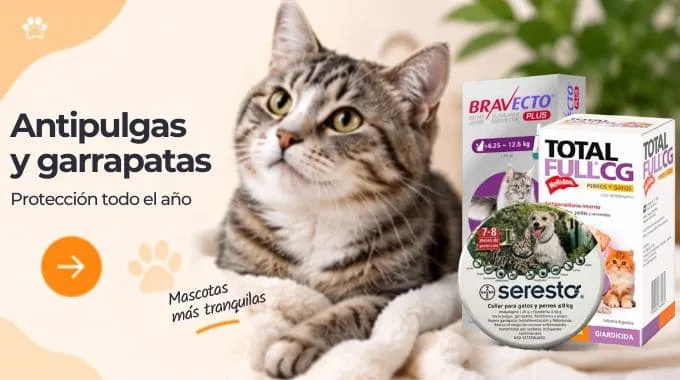 Antipulgas y garrapatas – Pipetas, collares y pastillas