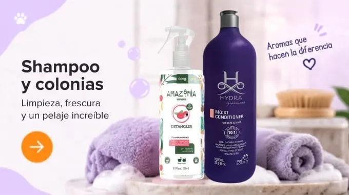Cuidado e higiene del perro – Baño, dental y ojos
