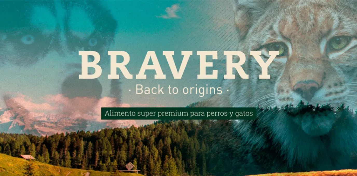 Semana de alimento: precios de campaña