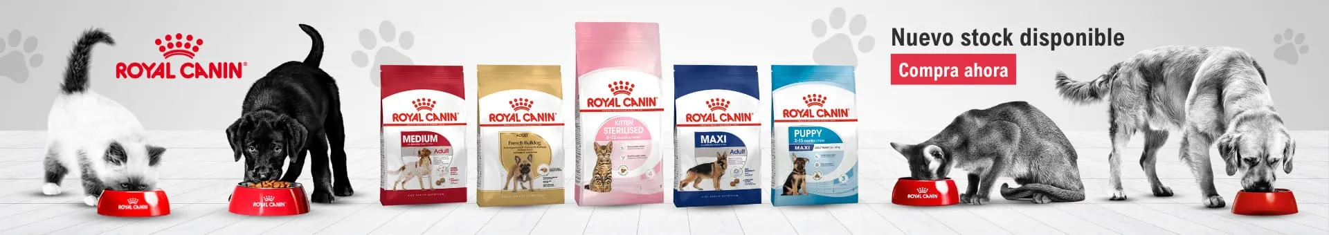 Banner Royal 