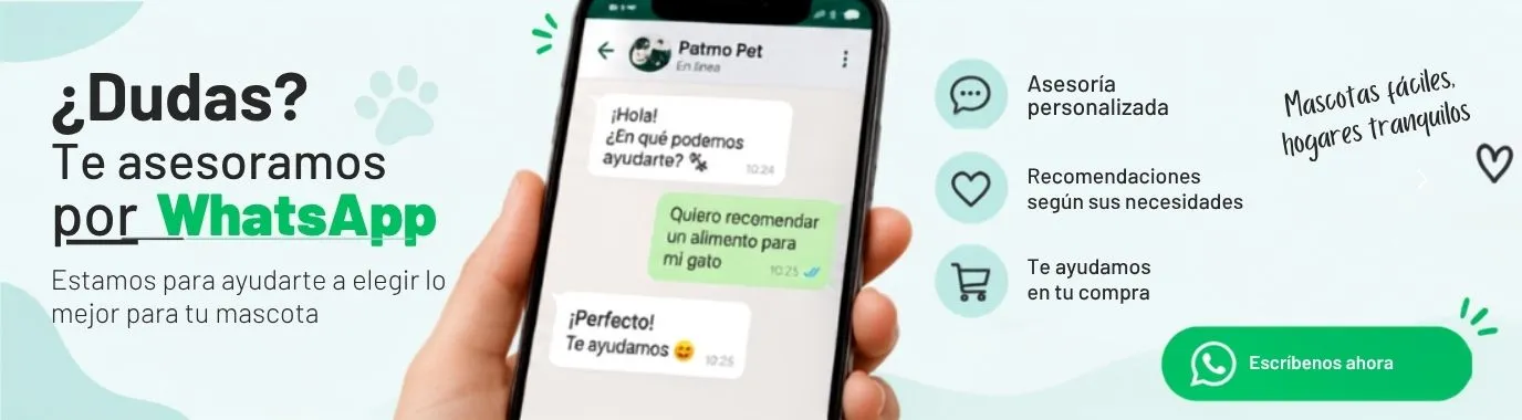 ¿Dudas? Te asesoramos por WhatsApp – 998 422 105