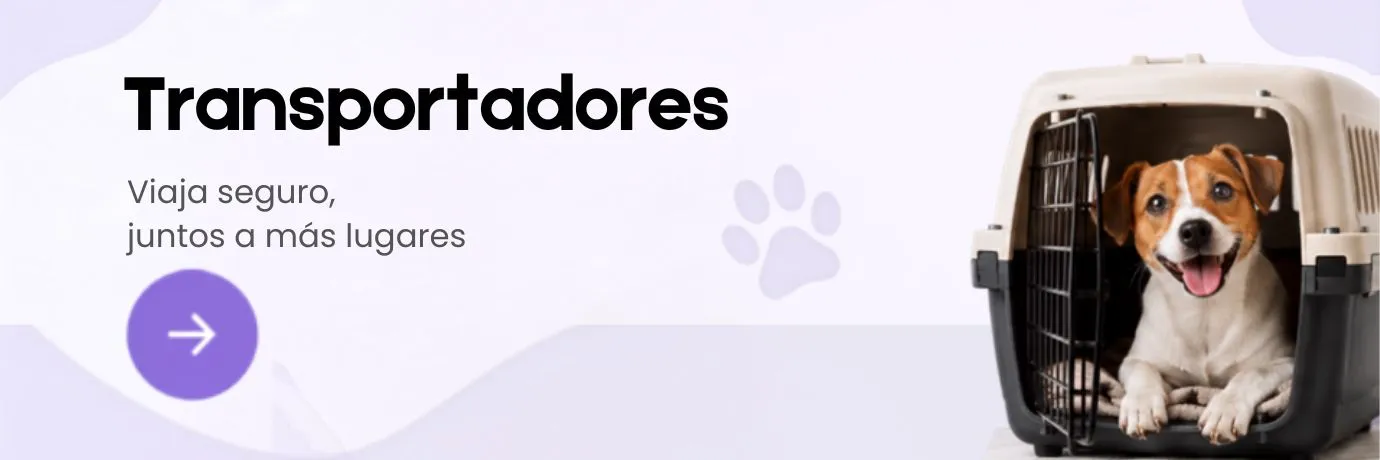 Camas, casas y transportadores