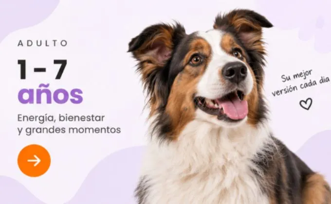 Adulto 1 – 7 años – Mantenimiento y control de peso